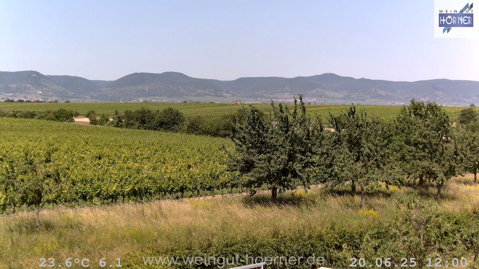 Webcam Weinberge Hochstadt