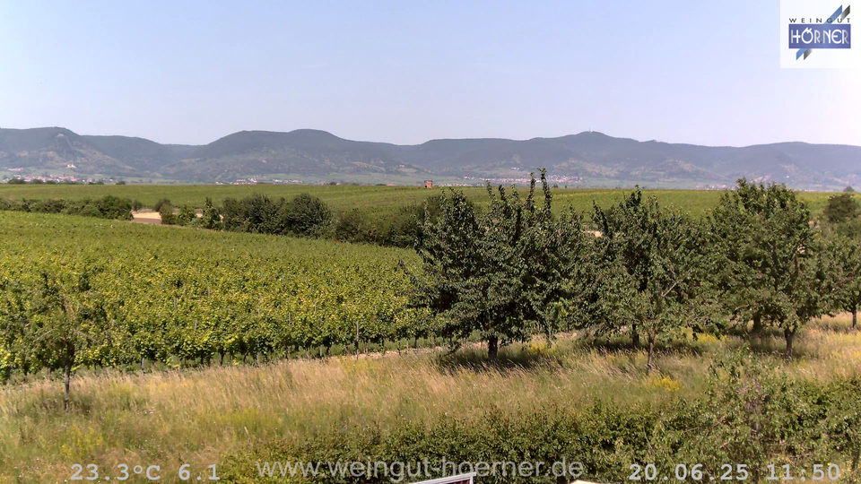 Webcam Weinberge Hochstadt