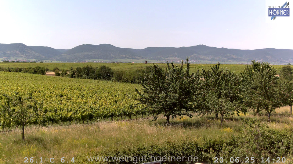 Webcam Weinberge Hochstadt
