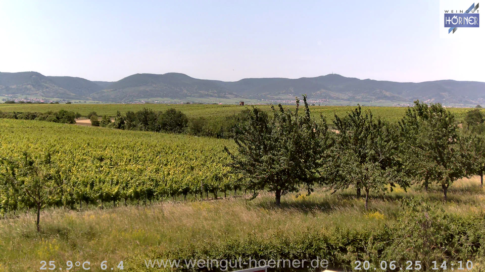 Webcam Weinberge Hochstadt