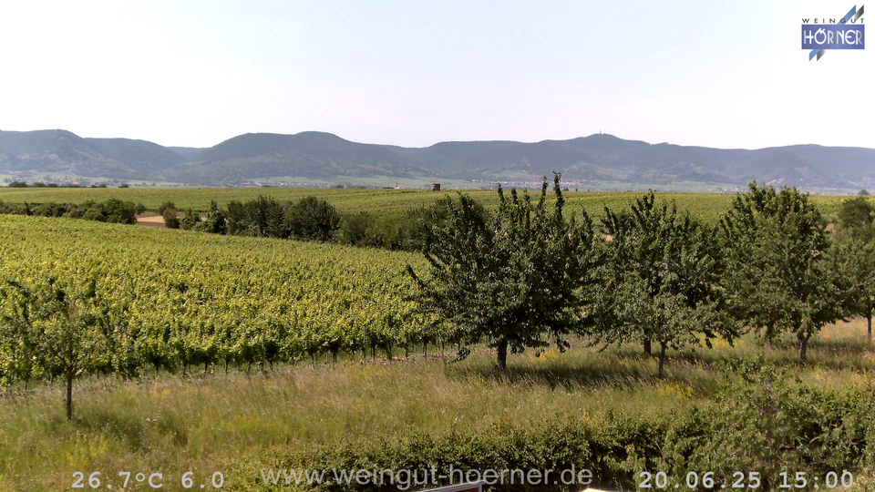 Webcam Weinberge Hochstadt