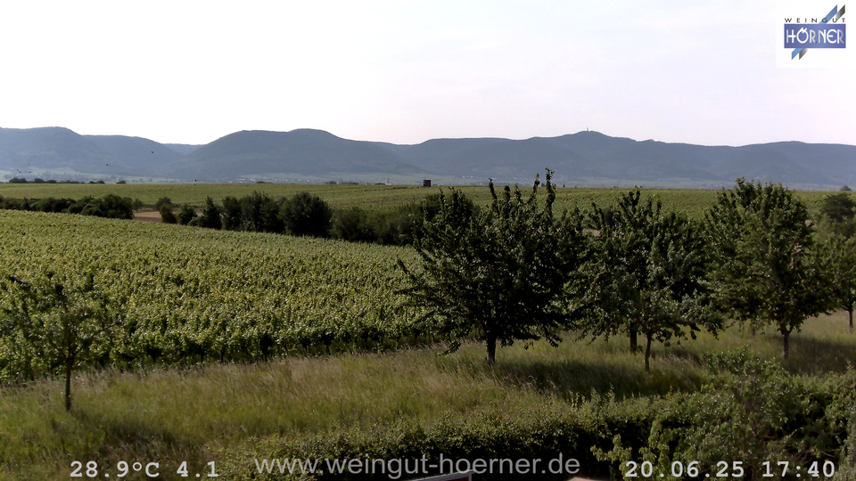 Webcam Weinberge Hochstadt
