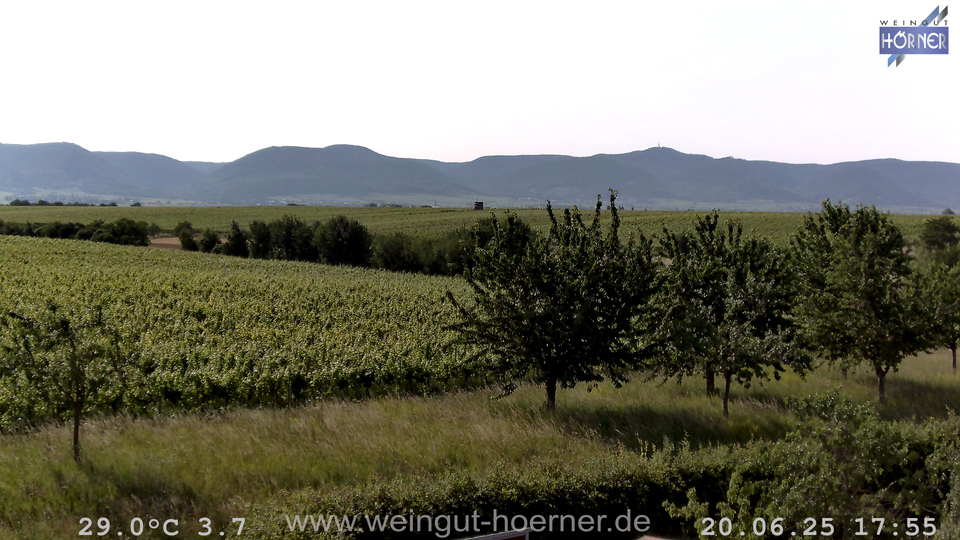 Webcam Weinberge Hochstadt