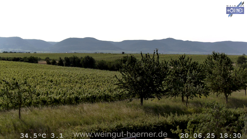 Webcam Weinberge Hochstadt