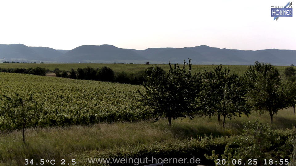 Webcam Weinberge Hochstadt