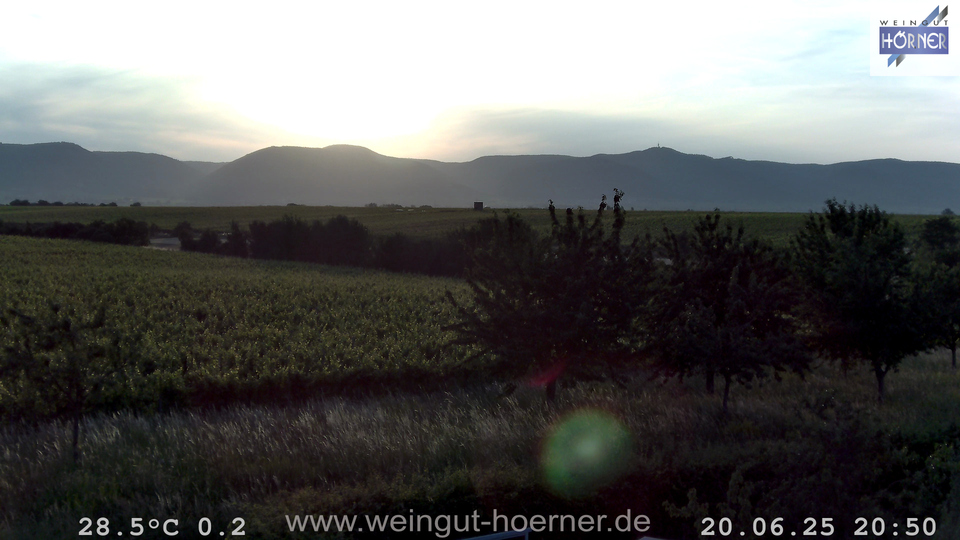 Webcam Weinberge Hochstadt
