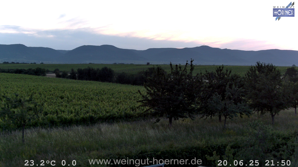 Webcam Weinberge Hochstadt