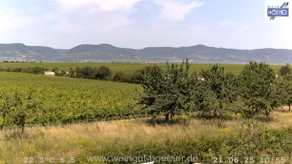Webcam Weinberge Hochstadt