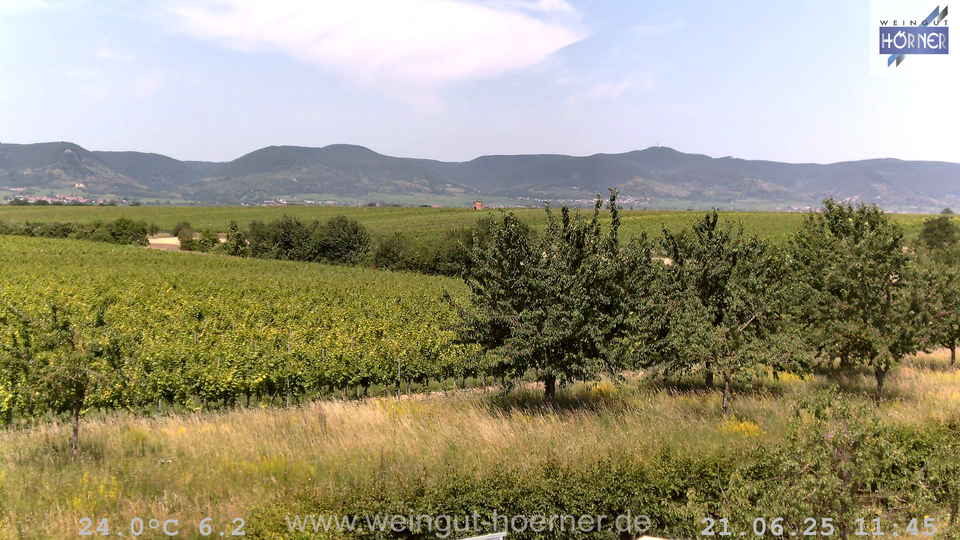 Webcam Weinberge Hochstadt