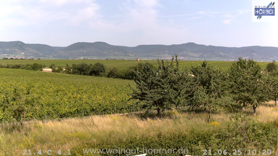 Webcam Weinberge Hochstadt