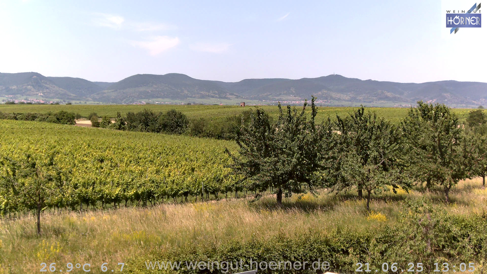 Webcam Weinberge Hochstadt
