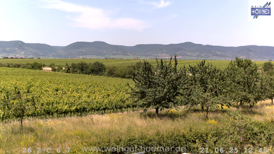 Webcam Weinberge Hochstadt