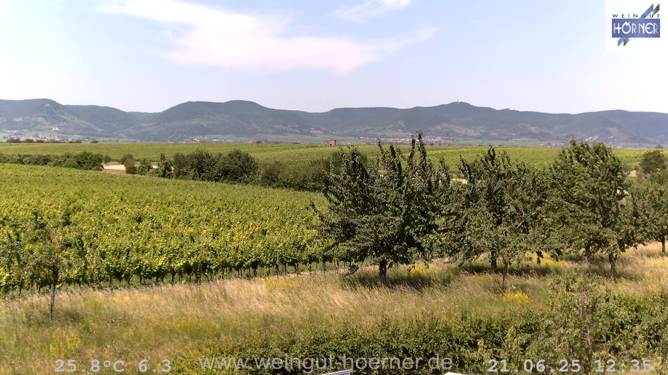 Webcam Weinberge Hochstadt
