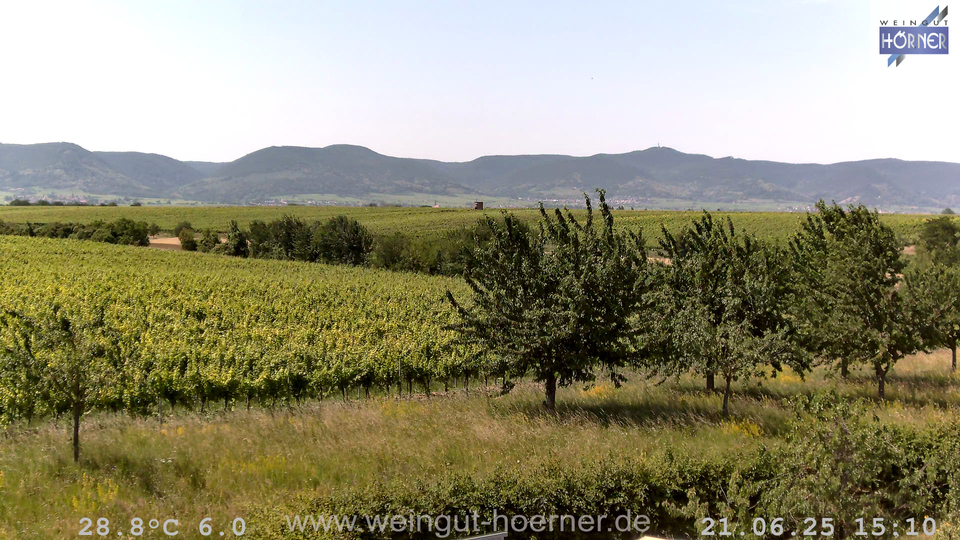 Webcam Weinberge Hochstadt