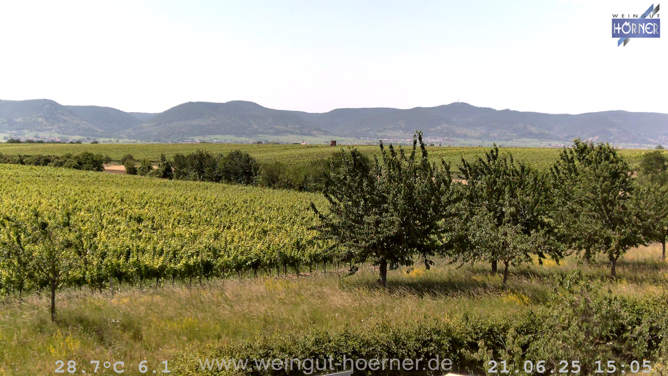 Webcam Weinberge Hochstadt