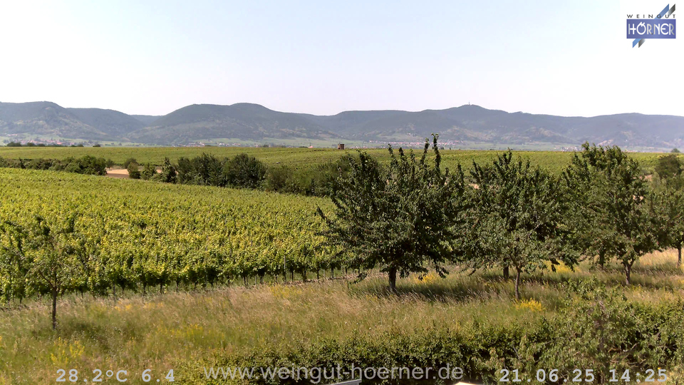 Webcam Weinberge Hochstadt