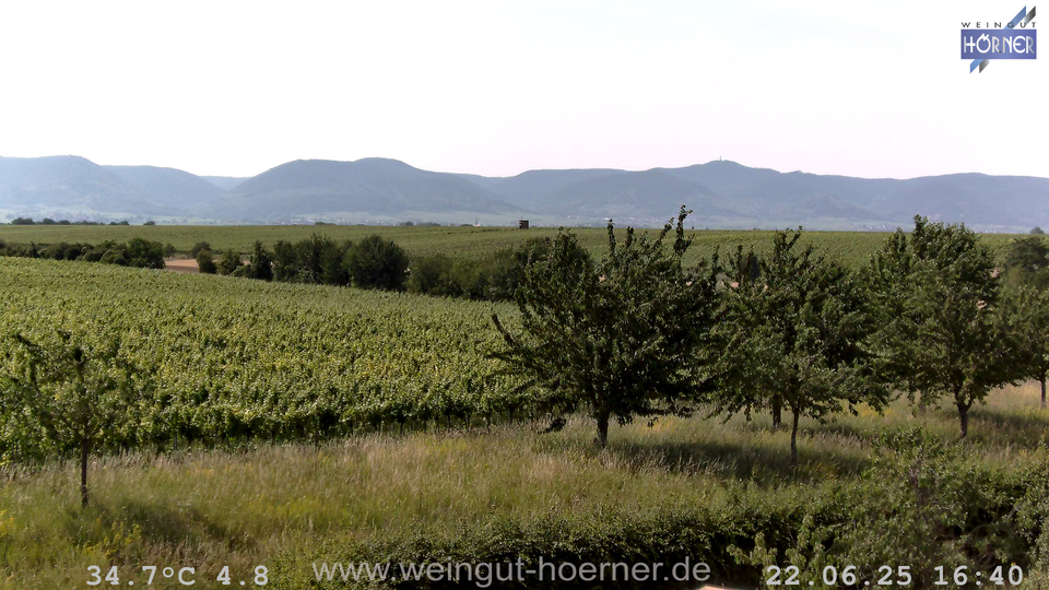 Webcam Weinberge Hochstadt