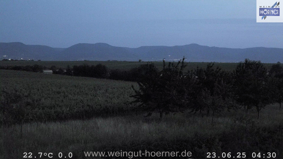 Webcam Weinberge Hochstadt