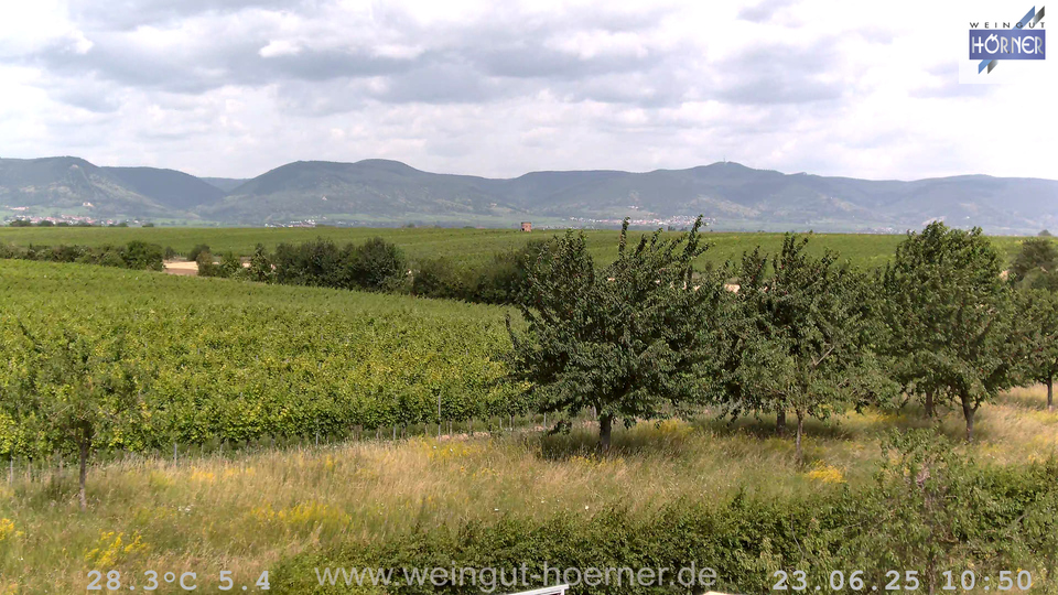 Webcam Weinberge Hochstadt