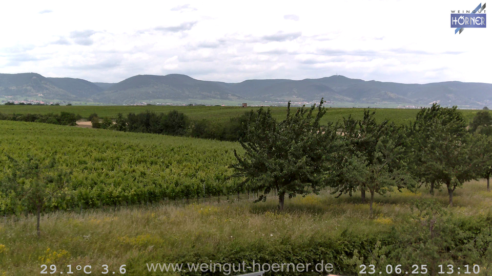 Webcam Weinberge Hochstadt