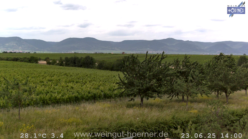 Webcam Weinberge Hochstadt