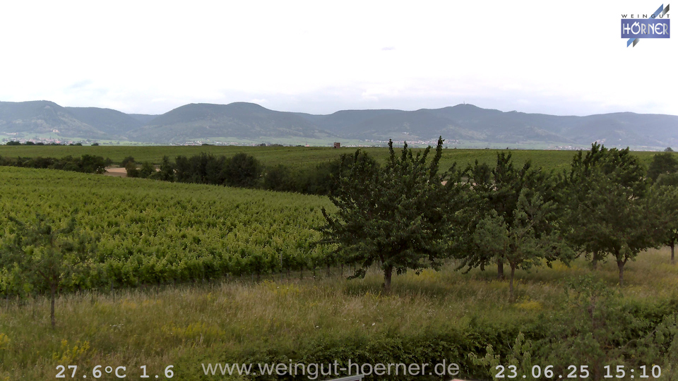 Webcam Weinberge Hochstadt