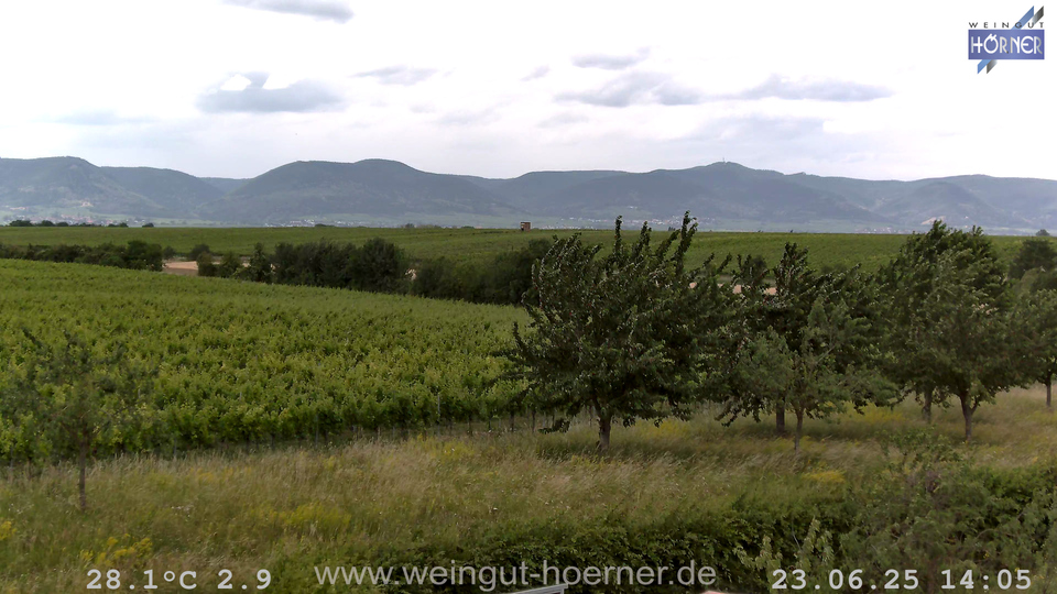 Webcam Weinberge Hochstadt