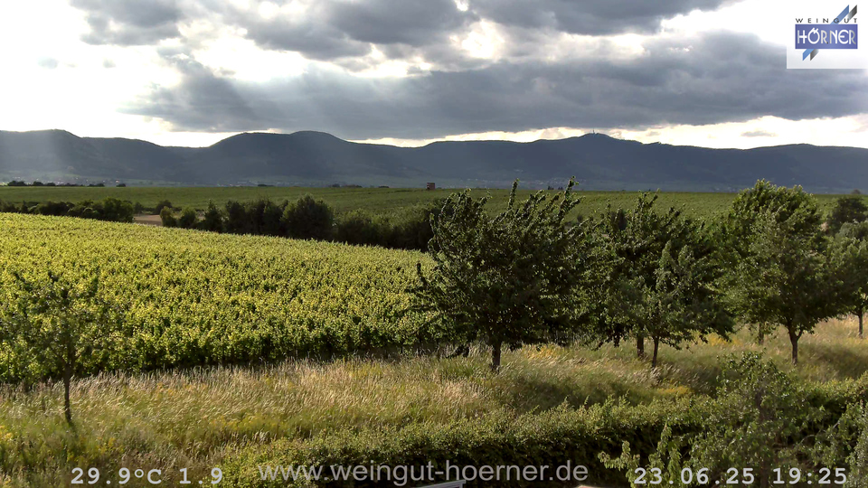 Webcam Weinberge Hochstadt