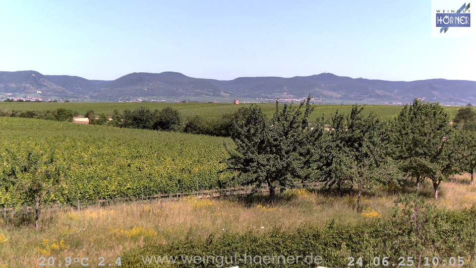 Webcam Weinberge Hochstadt