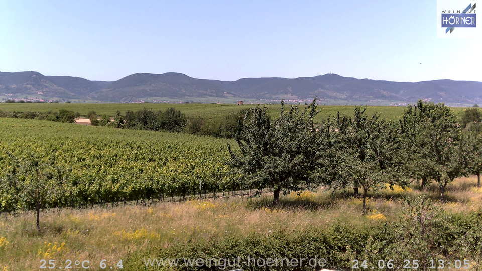 Webcam Weinberge Hochstadt