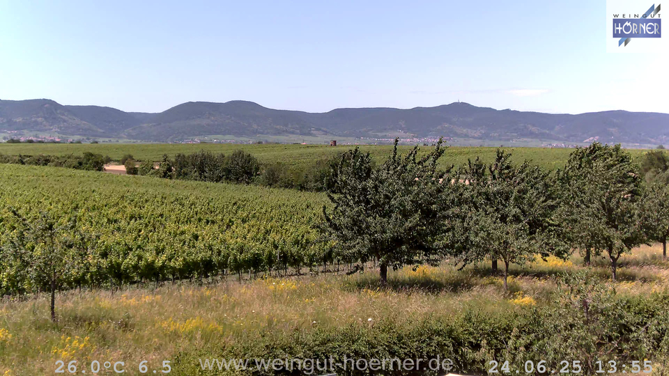 Webcam Weinberge Hochstadt
