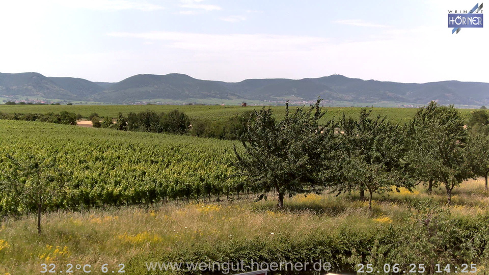 Webcam Weinberge Hochstadt