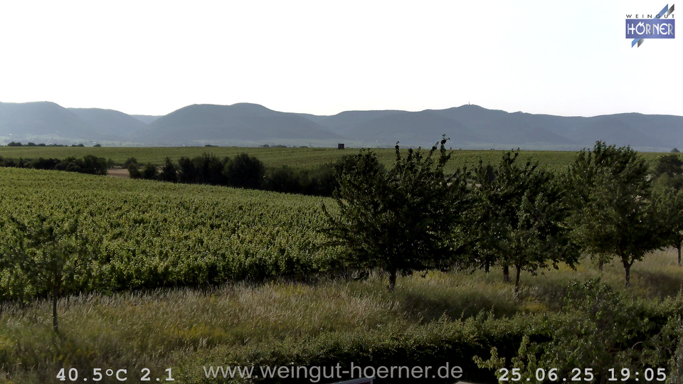 Webcam Weinberge Hochstadt