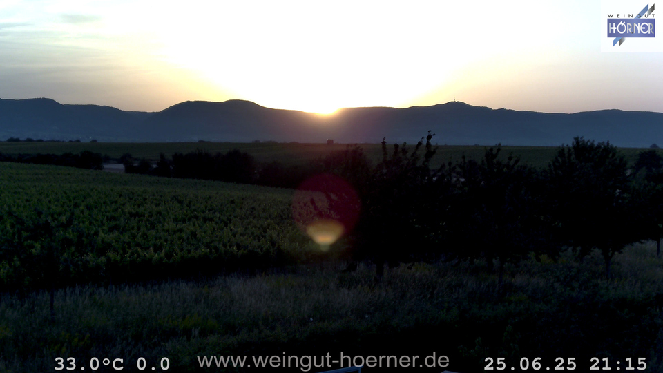 Webcam Weinberge Hochstadt