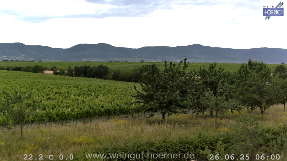 Webcam Weinberge Hochstadt