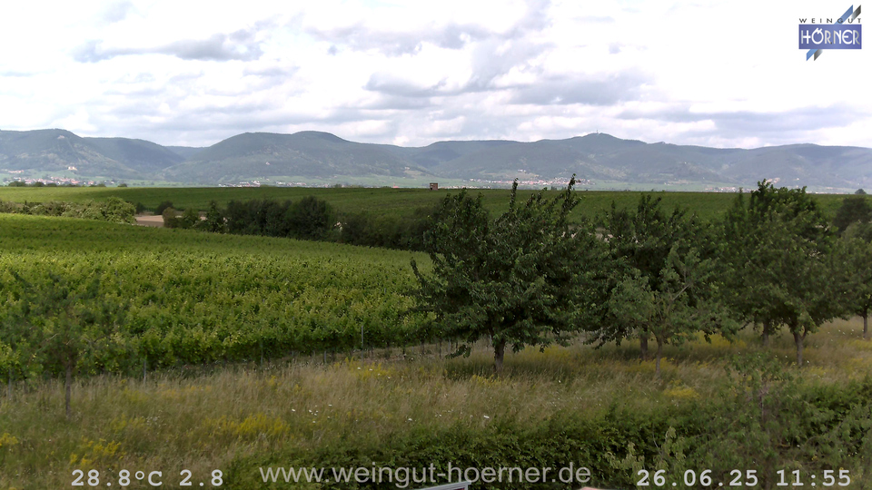 Webcam Weinberge Hochstadt