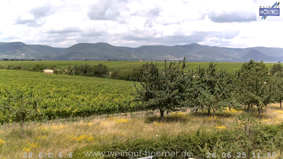 Webcam Weinberge Hochstadt