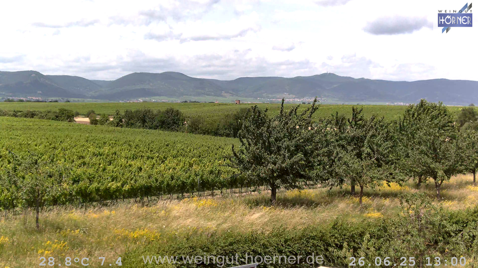 Webcam Weinberge Hochstadt