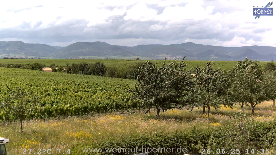 Webcam Weinberge Hochstadt