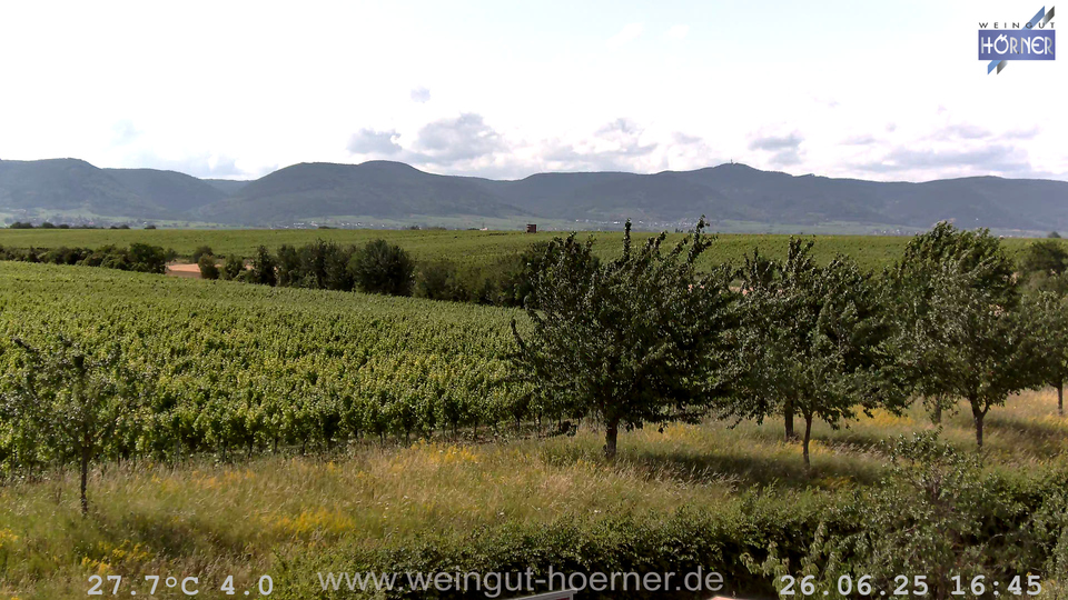 Webcam Weinberge Hochstadt
