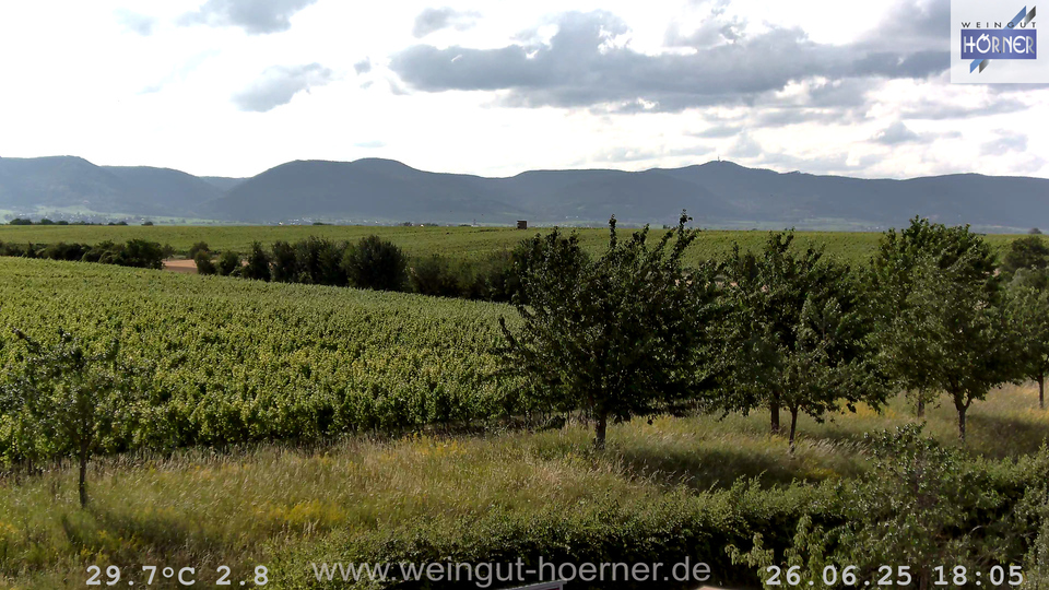 Webcam Weinberge Hochstadt