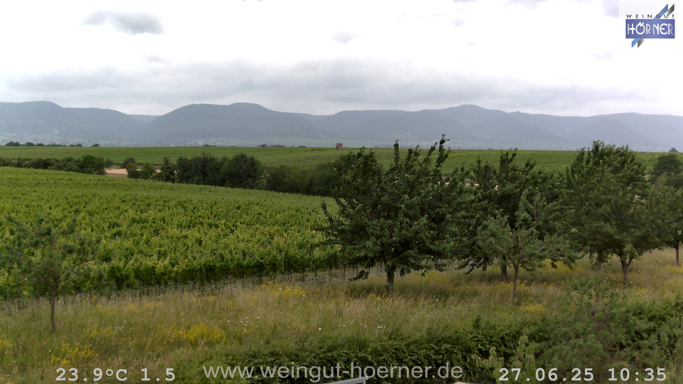 Webcam Weinberge Hochstadt