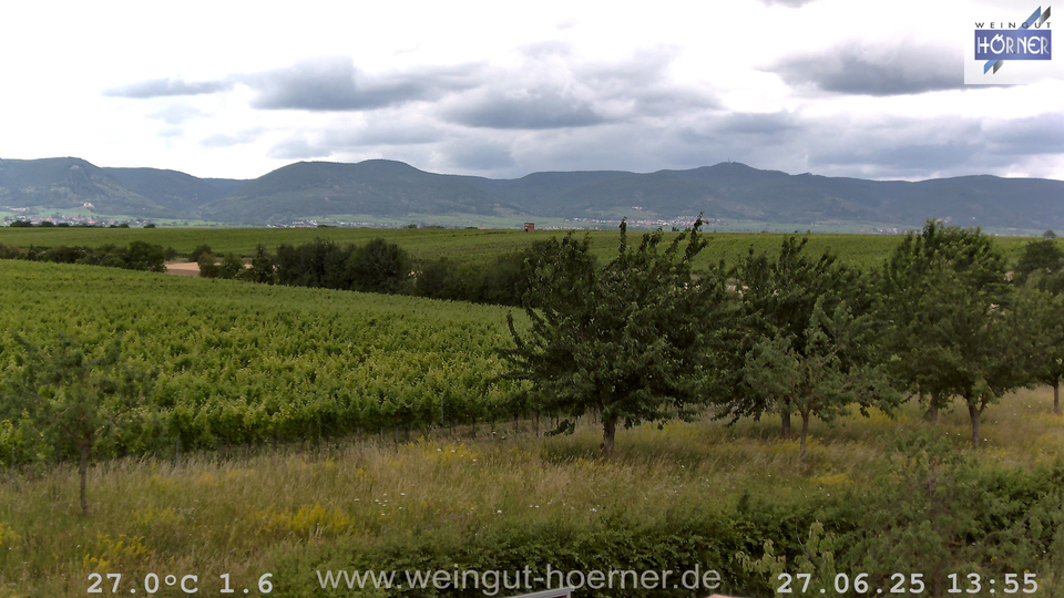Webcam Weinberge Hochstadt