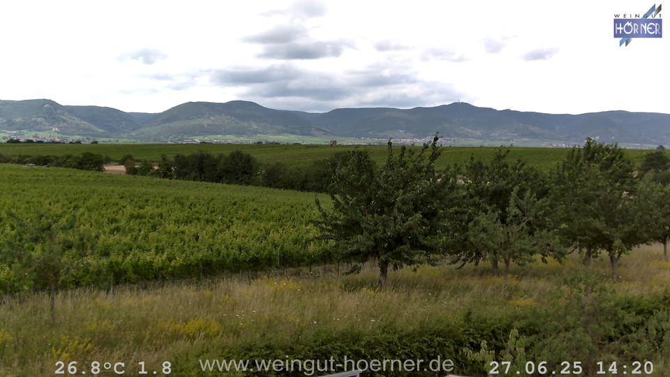 Webcam Weinberge Hochstadt