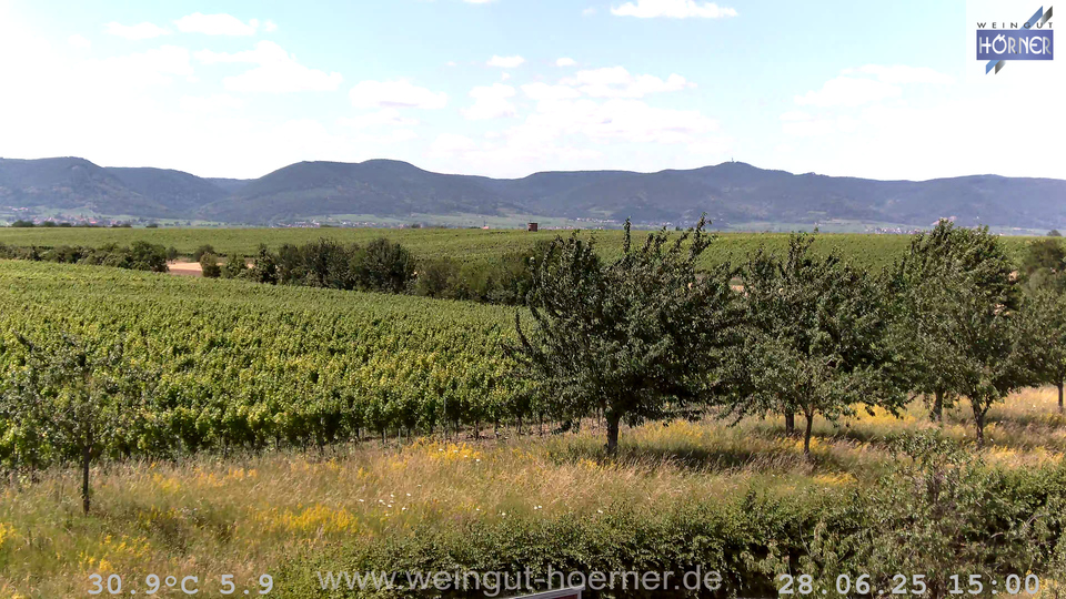 Webcam Weinberge Hochstadt