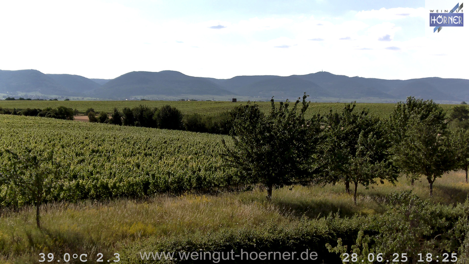 Webcam Weinberge Hochstadt