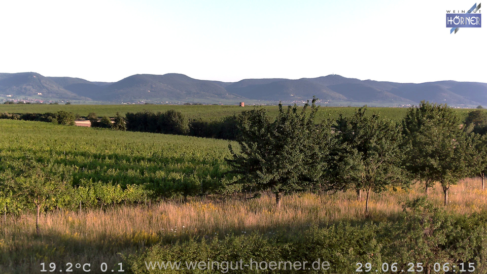 Webcam Weinberge Hochstadt