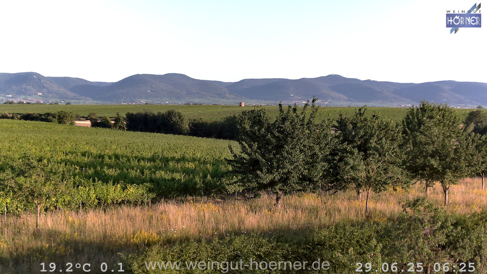 Webcam Weinberge Hochstadt