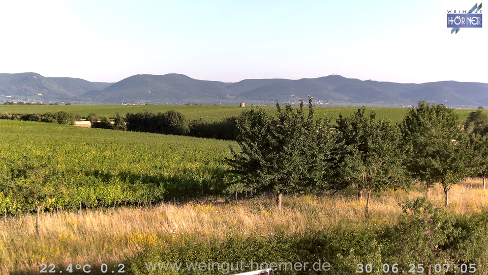 Webcam Weinberge Hochstadt