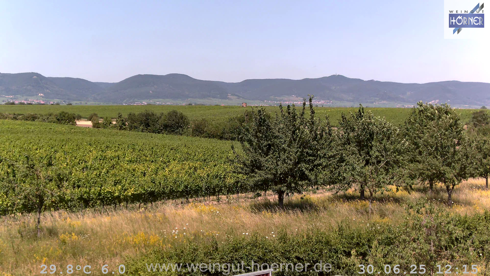 Webcam Weinberge Hochstadt